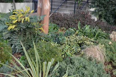 Capital Gardenkeepers LLC - Landscape Design in Washington, 