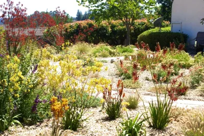 Corralitos by Deanna Foster Landscape Design