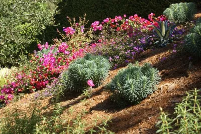 Wildwood Wedding Venue by Deanna Foster Landscape Design