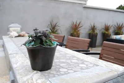 Carlygarden Landscape Design - Landscape Design in Irvine, CA