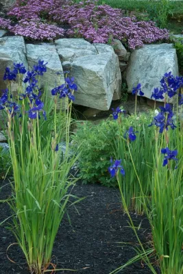 Carroll Associates Landscape Architects - Landscape Design in Portland, ME