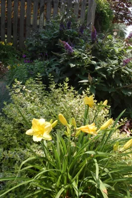 After Shots of Various Projects by Cat Valand Landscape Design