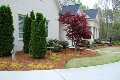 New Construction in North Raleigh — Landscape Design project by Cat Valand Landscape Design in Raleigh