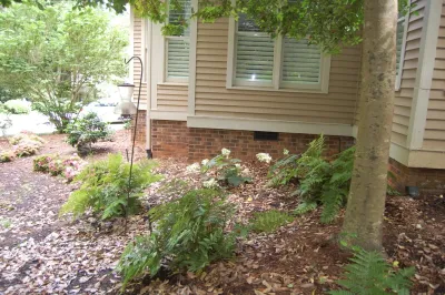 Oxford Hills Shade Garden — Landscape Design project by Cat Valand Landscape Design in Raleigh
