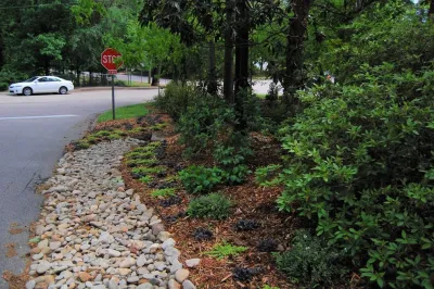Beechridge Beauty — Landscape Design project by Cat Valand Landscape Design in Raleigh