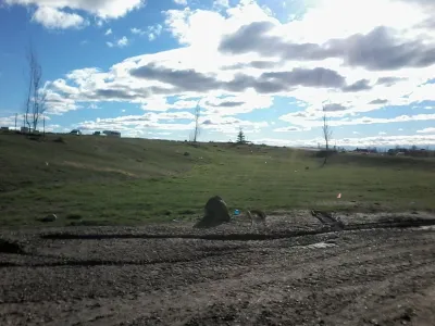 Aqua Conservation - Landscape Design in Middleton, ID