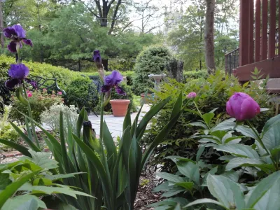 Narrow Property — Landscape Design project by Arbor Green Landscapes