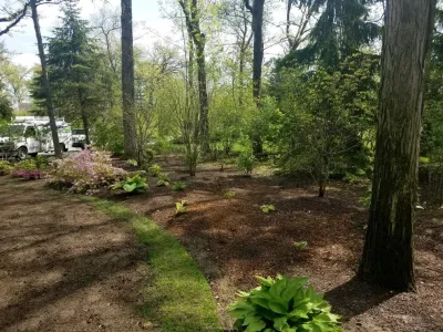 Dearborn Group Inc. - Tree & Shrub Care in Lake Bluff, IL