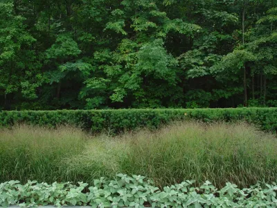 Deborah Silver and Co Inc - Landscape Construction in Sylvan Lake, MI