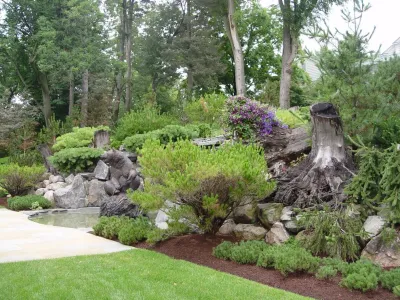 Stumpery Project — Landscape Design project by Deborah Silver And Co Inc