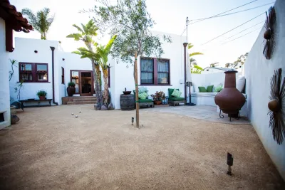 Deep Rooted Designs, Inc. - Drought-Resistant Lawn Installation in San Diego, CA
