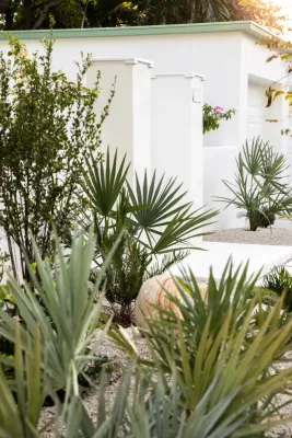 Defined Outdoors - Leaf Removal & Cleanup in Miami, FL