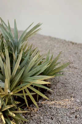 Defined Outdoors - Leaf Removal & Cleanup in Miami, FL