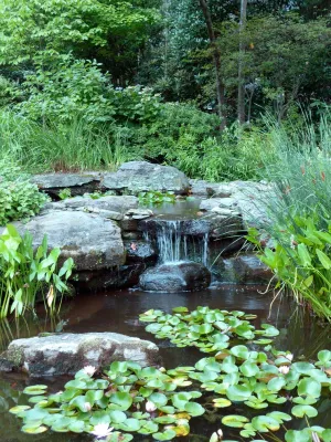 CLINTON+RIES Landscape Architects, PC - Landscape Design in Hyattsville, MD