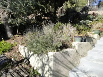 Denise at Agua Dulce gardens - Landscape Design in Solvang, CA