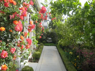 Mesquite — Landscape Design project by Denise At Agua Dulce Gardens