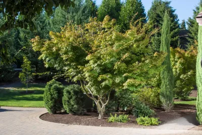 DeSantis Landscapes - Lawn Care & Mowing in Salem, OR