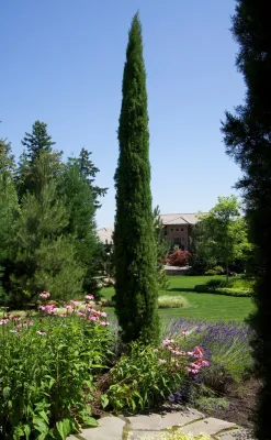 DeSantis Landscapes - Lawn Care & Mowing in Salem, OR