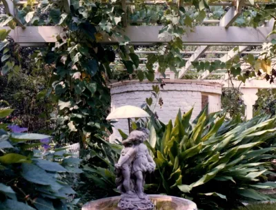 Variety Plantation Muscadine Arbor — Landscape Design project by Cynthia Cash, Landscape Architect