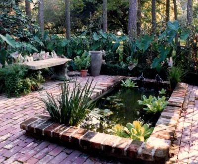 Alma Plantation Lily Pond — Landscape Design project by Cynthia Cash, Landscape Architect