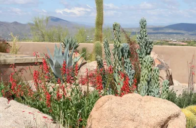 Desert Foothills Landscape - Garden Remodeling in Cave Creek, AZ