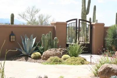 Desert Foothills Landscape - Garden Remodeling in Cave Creek, AZ