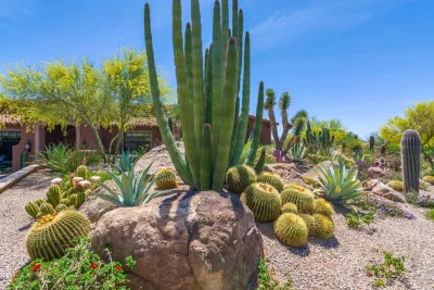 Desert Foothills Landscape - Garden Remodeling in Cave Creek, AZ