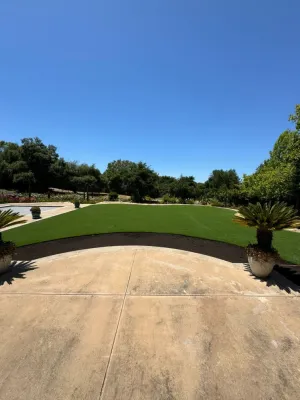 bay area 5 — Landscape Design project by Art Of Turf Inc