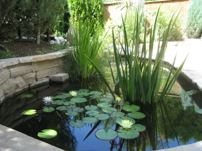 Country Club South by Dave Johnson, Landscape Architect, LLC