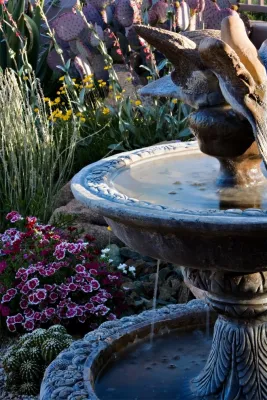 Desert Foothills Landscape - Garden Remodeling in Cave Creek, AZ