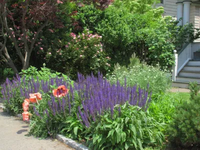 Design by Plants - Garden Remodeling in Brooklyn, NY