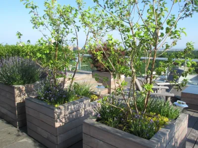 Design by Plants - Garden Remodeling in Brooklyn, NY