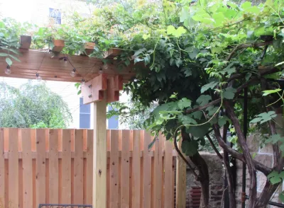 Design by Plants - Garden Remodeling in Brooklyn, NY