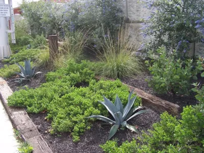 Diana Montemayor Landscape Design - Landscape Design in Novato, CA
