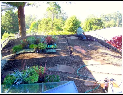Diana Montemayor Landscape Design - Landscape Design in Novato, CA