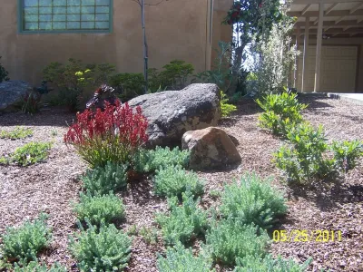 Diana Montemayor Landscape Design - Landscape Design in Novato, CA
