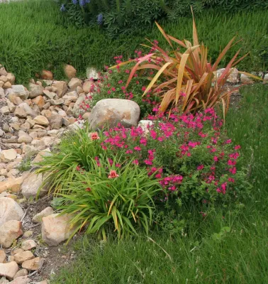 Donna Lynn - Landscape Designer - Landscape Design in Santa Barbara, CA