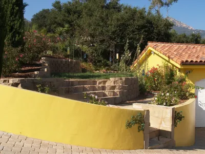 Donna Lynn - Landscape Designer - Landscape Design in Santa Barbara, CA
