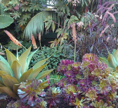 Donna Lynn - Landscape Designer - Landscape Design in Santa Barbara, CA