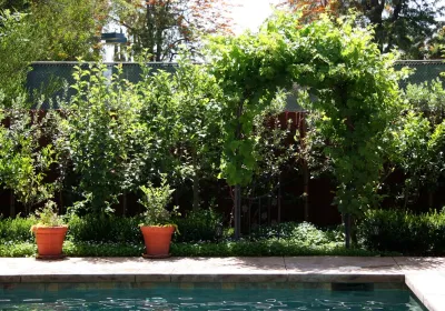 Donna Lynn - Landscape Designer - Landscape Design in Santa Barbara, CA