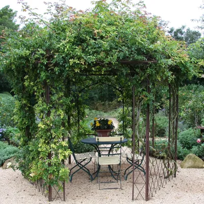 Donna Lynn - Landscape Designer - Landscape Design in Santa Barbara, CA