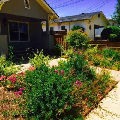 DesignIntent - Landscape Design in San Francisco, CA