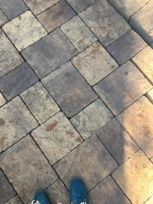 DesignIntent - Landscape Design in San Francisco, CA