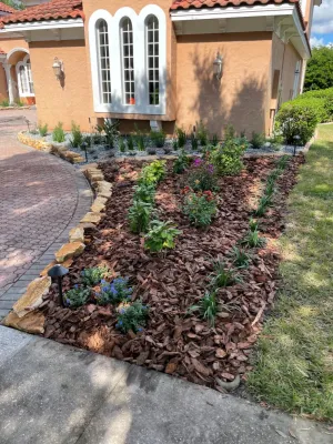 Earthwise Horticultural Services - Landscape Design in Sanford, FL