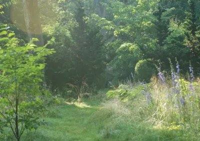 East End Garden Design - Landscape Design in Wainscott, NY