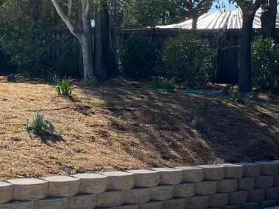 DesignIntent - Landscape Design in San Francisco, CA