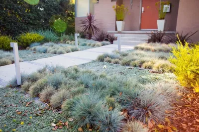Echo Landscape Architecture Studio - Landscape Design in Los Angeles, CA