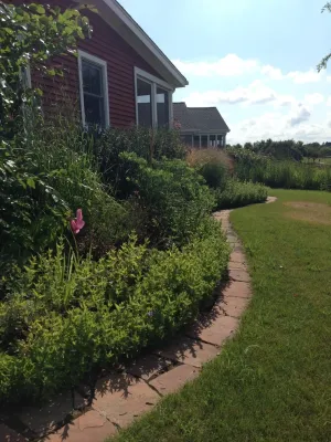 Eco Scapes, Inc. - Landscape Design in Wheaton, IL