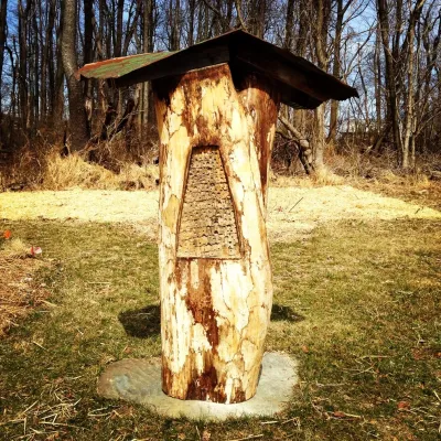 Ecologia: Edible + Ecological Landscapes - Landscape Design in Frederick, MD