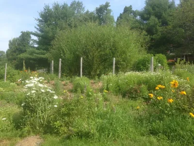Ecologia: Edible + Ecological Landscapes - Landscape Design in Frederick, MD